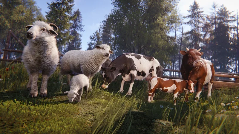 Vaches et moutons dans un enclos en bois