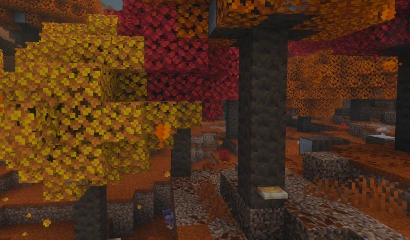 Peupliers aux feuillages jaune, rouge et orange dans une forêt tachetée, avec des particules de feuilles qui tombent