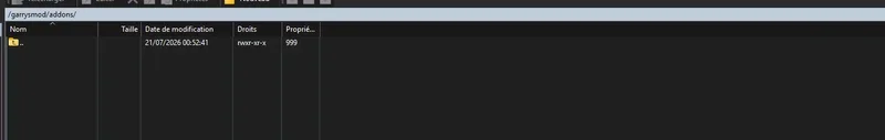 Addons folder opened in the SFTP client