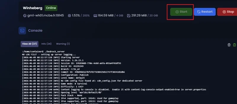 Starting the server from the management console