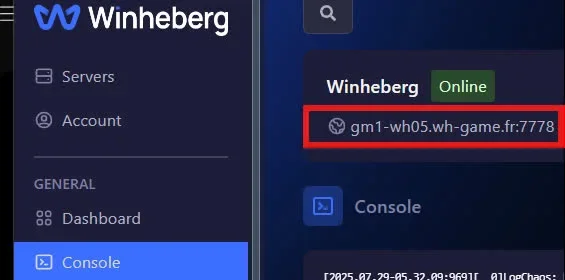 Satisfactory server IP address on the WinHeberg panel