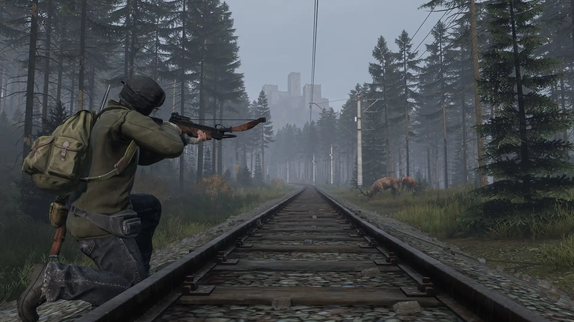 Fonctionnalités d'hébergement serveur DayZ avec survie zombie et interactions multijoueur intenses