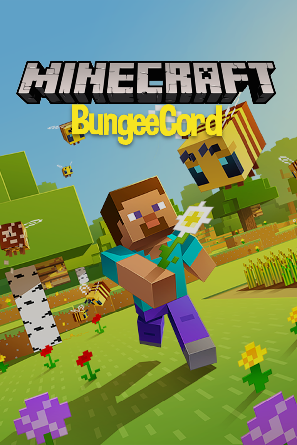 Minecraft Proxy