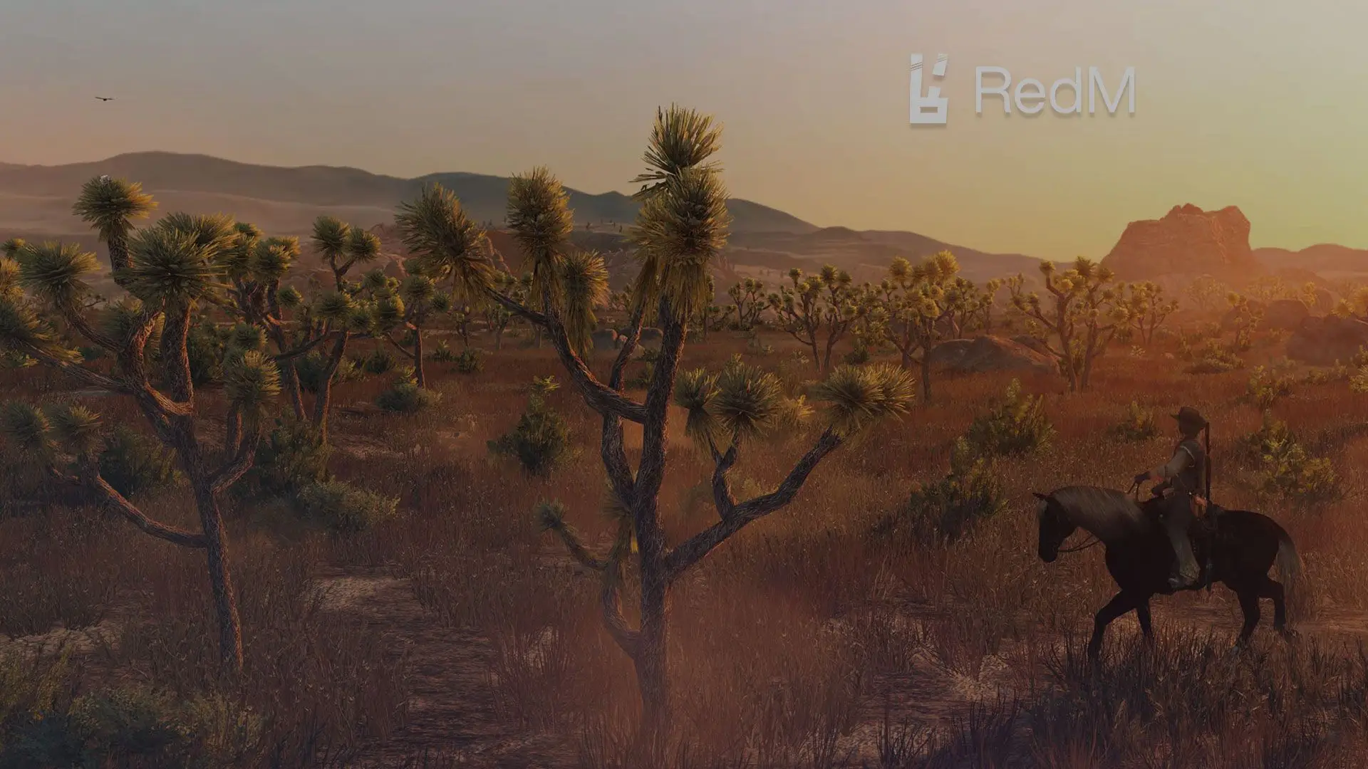 Fonctionnalités d'hébergement serveur RedM avec scripts personnalisés et support mods pour serveurs roleplay Red Dead Redemption 2