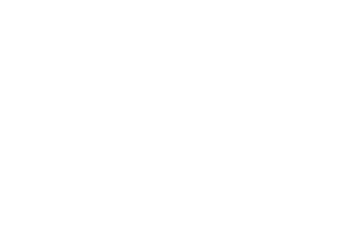 Arista — technical partner logo