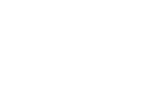 Dell EMC — technical partner logo