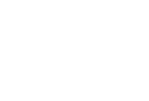 FastNetMon — technical partner logo