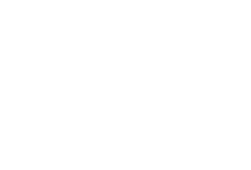 Samsung — technical partner logo