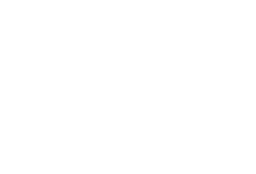 Supermicro — technical partner logo