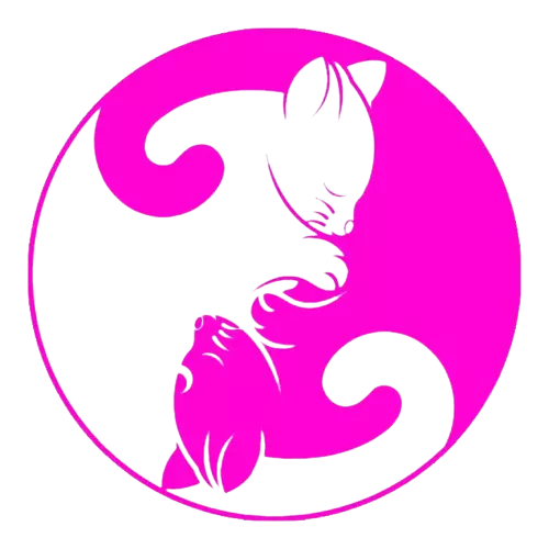 CatServer